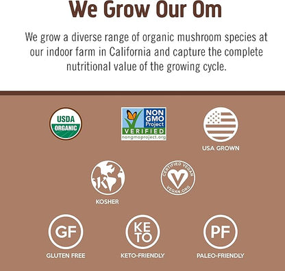 OM MUSHROOM SUPERFOOD Master Blend Creamy Chocolate Protein Powder, 16 Servings, Plant-Based with 10 Mushroom Complex for Recovery & Energy