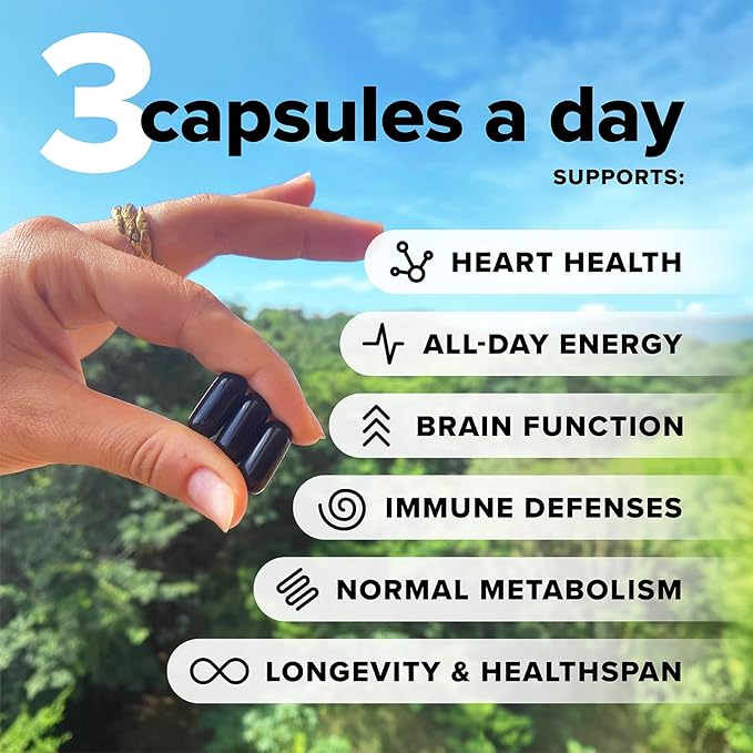 Complement Omega Complex & Essential Multivitamin Bundle – Comprehensive Vegan Nutritional Support for Optimal Health and Wellness (30 Servings Each)