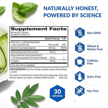 BioTrust Brain Bright – Daily Nootropic Boost for Focus, Concentration, Mental Clarity – Caffeine Free Nootropics Brain Support Supplement – Thai Ginger, Ginkgo, Folate, L-Theanine – 30 Servings