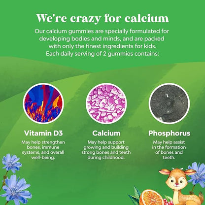 Natures Craft Tasty Kids Calcium Gummies - Vitamin D & Calcium Gummies for Children - Vitamin with & D for Muscle Bone Development Gelatin-Free Kosher Childrens 60ct (1 Pack)