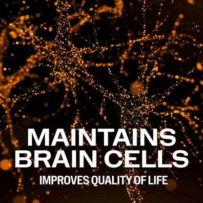Vimergy Brain Body Memory* – Powers 5 Memory Types and 10 Benefits of Memory Function - Fast-Absorbing, only Three Ingredients - Non-GMO and Gluten Free - 1 Scoop for Ages 18+