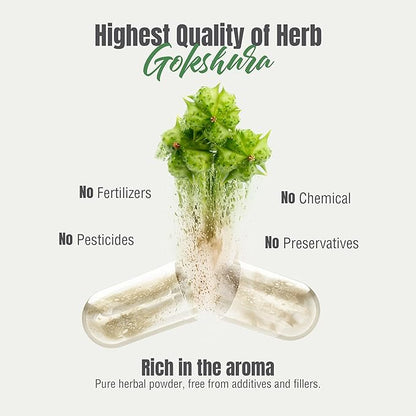 Tribulus Terrestris Gokshura 750mg | 30% Saponins, 60 Vegan Capsules | Ayurvedic Supplement for Vitality, Energy, Stamina & Wellness Support