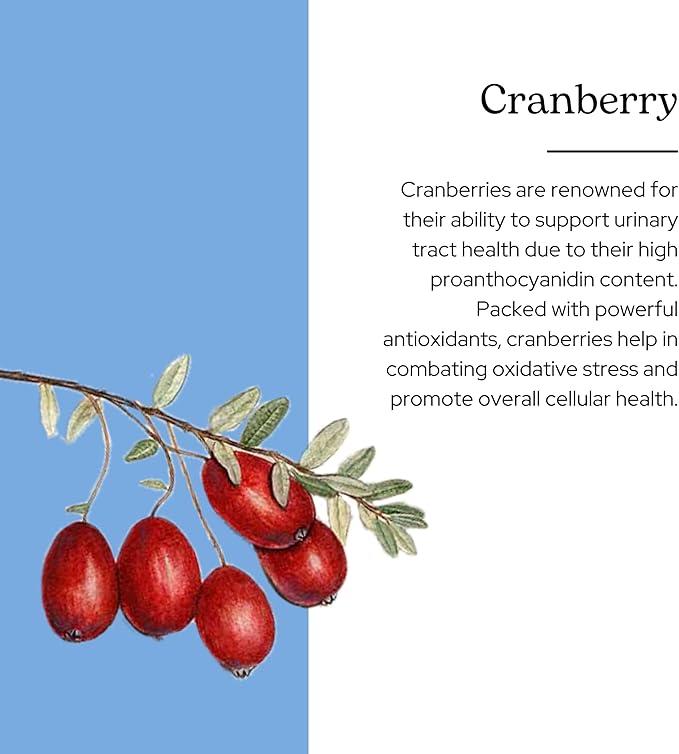 Eclectic Herb - Premium Freeze Dried Cranberry Capsules | Urinary Tract Support | Cranberry Supplement for Urinary Tract Health | Organic, Non-GMO, Vegan (120 CT | 300 mg)