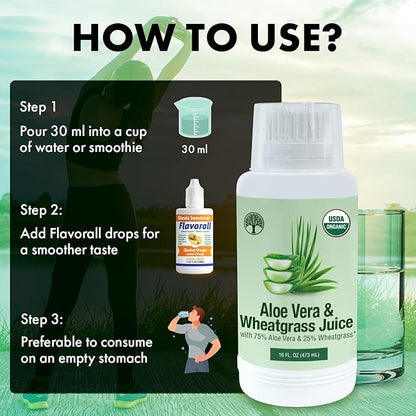Aloe Vera & Wheatgrass Juice with Flavorall: USDA Certified Aloe Juice Shots - 30-Day Supply for Gut Detox, Immunity & Clear Skin, 75%-25% Highly Potent Concentration (Orange)