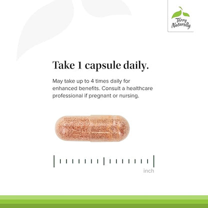 Terry Naturally Clinical OPC - Cardiovascular Health & Focus Support Supplement - Dietary Supplement with Grape Seed Extract & Sunflower Lecithin - Immune Support Supplement - 150 mg, 60 Softgels