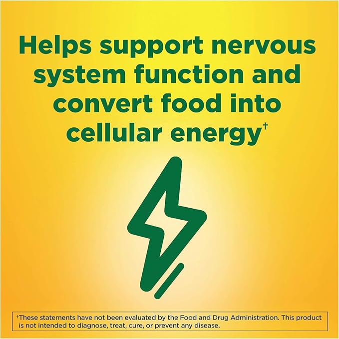 Nature Made B1 100 Mg 100 Count (5 Pack)