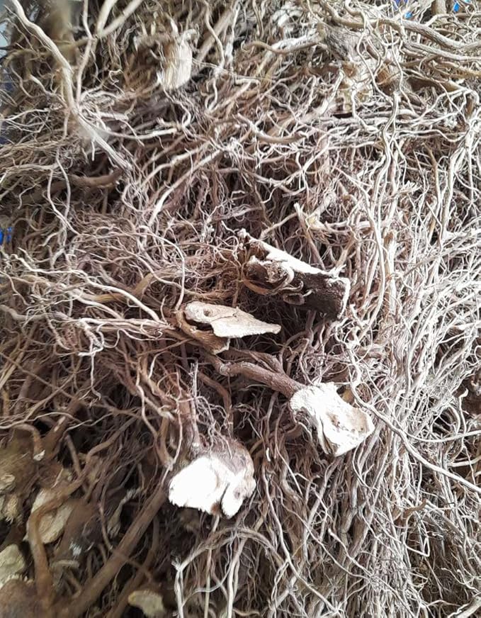 Premium Micronized Kava Pure Organic Fiji Kava Powder Made from 6yr Old Root