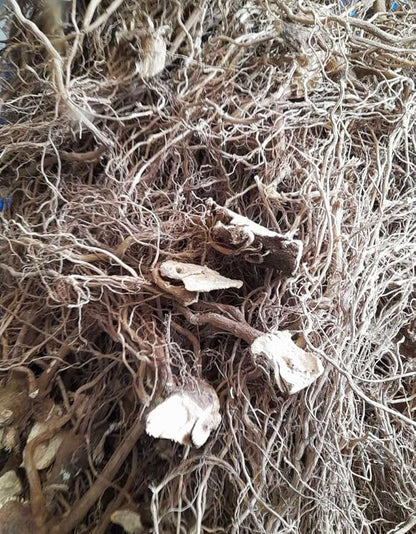 Premium Micronized Kava Pure Organic Fiji Kava Powder Made from 6yr Old Root