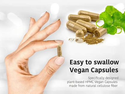 DR WAKDE's® Gymnema Capsules (Gudmar) I 100% Herbal I 60 Veggie Capsules I Ayurvedic Supplement I All Natural