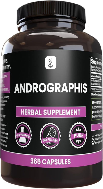 PURE ORIGINAL INGREDIENTS Andrographis Paniculata, (365 Capsules) Always Pure, No Additives Or Fillers, Lab Verified