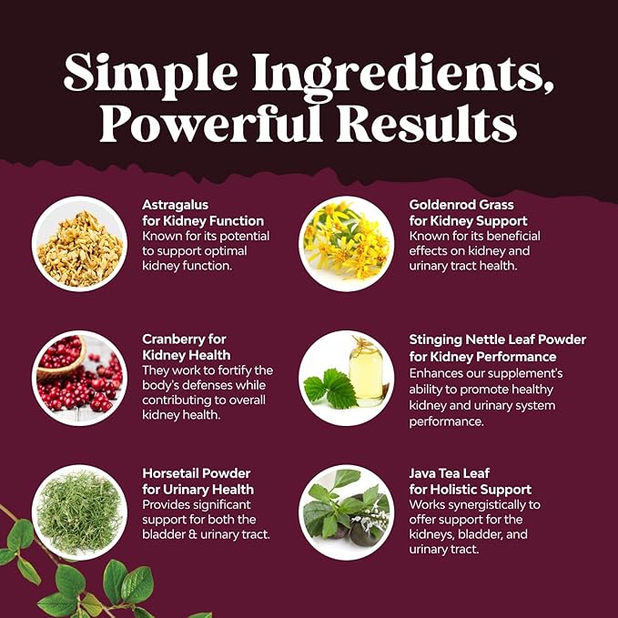 Kidney Support Supplement - High Strength Kidney Cleanse, Detox & Repair Cranberry Extract Capsules with Uva Ursi, Stinging Nettle & Chanca Piedra - Urinary Tract Health & Bladder Cleanse - 240 Caps