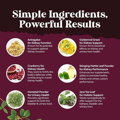 Kidney Support Supplement - High Strength Kidney Cleanse, Detox & Repair Cranberry Extract Capsules with Uva Ursi, Stinging Nettle & Chanca Piedra - Urinary Tract Health & Bladder Cleanse - 60 Caps