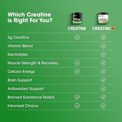 Optimum Nutrition Creatine Monohydrate Plus Powder, Orange Passionfruit Flavored Creatine Performance Blend With Electrolytes for Hydration, Added Vitamins, 40 Servings, 360 Grams (Packaging May Vary)