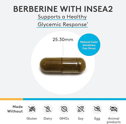 XYMOGEN Berbemycin - Berberine Supplement with Oregon Grape Root, Grapefruit Seed + Uva Ursi Extracts - Supports Microbial Balance in The GI Tract, Gut Health (120 Capsules)
