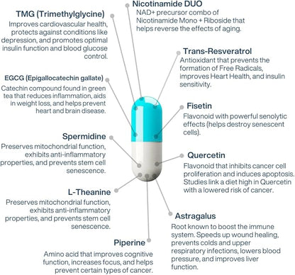 Anti Aging Supplement NAD Complex AEON with Nicotinamide, Fisetin, Quercetin, Resveratrol, Astragalus, Collagen, CoQ10, L-Theanine, EGCG