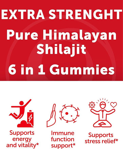 Lunakai USA Made Pure Shilajit Gummies 1200mg with Ashwagandha & Chaga - Himalayan Shilajit for Men & Women, Energy & Vitality Support, 60ct