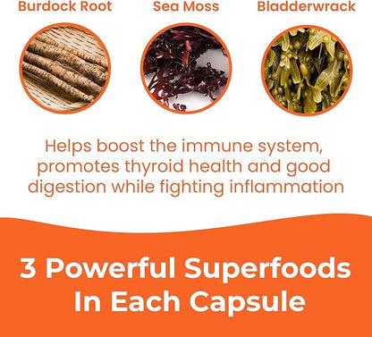 INFINITE AGE 2 Pack of 1250mg Sea Moss Advanced Superfood Capsules, 120 Count - High-Potency, Vegan, Made in The USA - Irish Seamoss, Bladderwrack, Burdock Root - Overall Health, Immunity Support