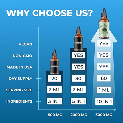 Irish Sea Moss Drops - 5X Stronger Than Sea Moss Gel - 92+ Essentials Minerals - with Bladderwrack, Burdock Root & Black Cumin - 2 Fl Oz (60ml) - Apple Flavor