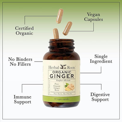 Herbal Roots Ginger Supplement | Organic Ginger Root Capsules | 1,200 mg of Pure Ginger Powder per Serving | 60 Vegan Capsules