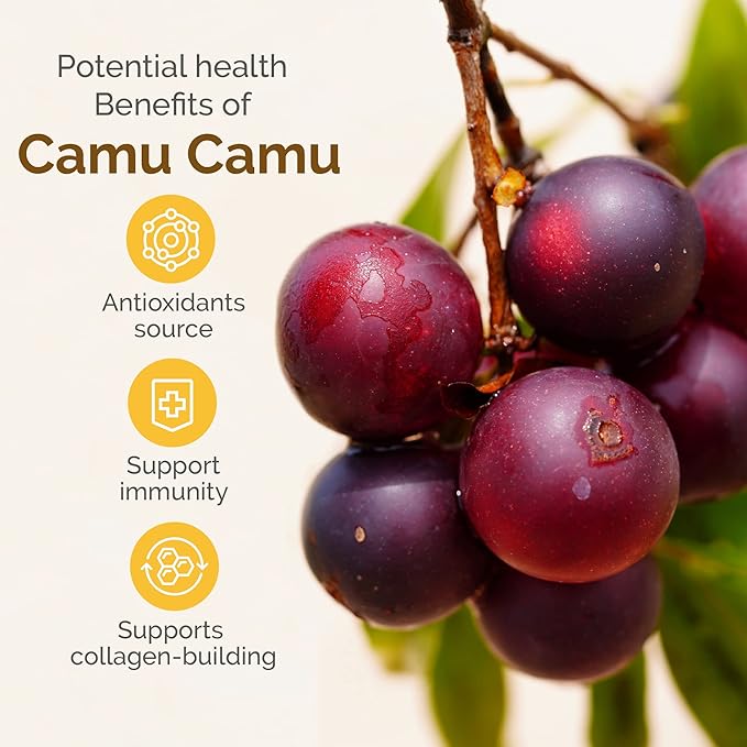Zint Camu Camu Powder Organic | Superfood Powder | Organic Fruit Ingredient | Antioxidants Source Perfect for Smoothies, Juices, Ice Creams | Non-GMO, Gluten-Free, Kosher | 3.5 oz