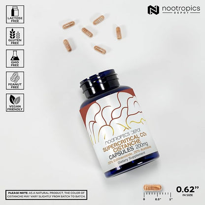 Nootropics Depot Cistanche Supercritical CO2 Extract Capsules | 20% Echinacoside + 20% Verbascoside (Acetoside) | 120 Count