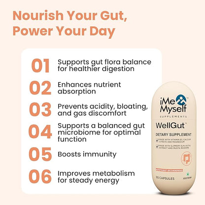 WellGut Daily Herbal Supplement | Traditional Herbs with Minerals & Probiotics 90 Vegan Capsules