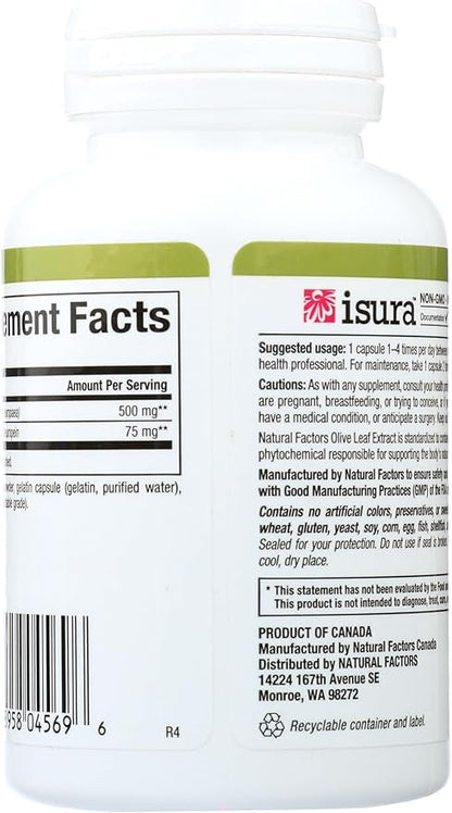 HerbalFactors by Natural Factors, Olive Leaf 500 mg, Natural Wellness Formula, 60 Capsules