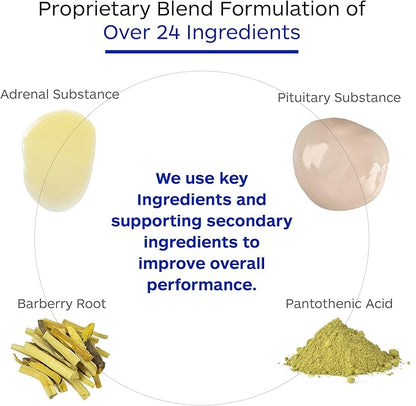Adrenal Complex Supplement – Supports Healthy Adrenal Function, Stress Relief, and Energy Levels – 90 Vegetarian Capsules