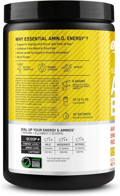 Optimum Nutrition New Flavor Amino Energy - Pre Workout with Green Tea, BCAA, Amino Acids, Keto Friendly, Green Coffee Extract, Energy Powder - Citrus Spritz, 30 Servings (Packaging May Vary)