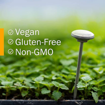 Herb Pharm Andrographis Liquid Extract for Immune System Support - 4 Ounce