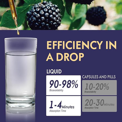 Siberian Ginseng Liquid Drops, Natural Herbal Extract for Powerful Adaptogen Blend, Energy & Stamina Boost & Immune Support. 2oz-Original