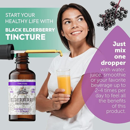 Black Elderberry Tincture, Organic Black Elderberry Extract Extract for Immune Support (Sambucus Nigra) | 2 Fl Oz (1 Pack - 2 Fl Oz)
