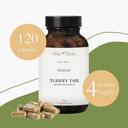 Turkey Tail Mushroom Supplement. Dual Extract, Pure Fruiting Body, 30% Polysaccharides, 500 mg, 120 vegecaps (60-Day Supply). Can Support Healthy Immune Function
