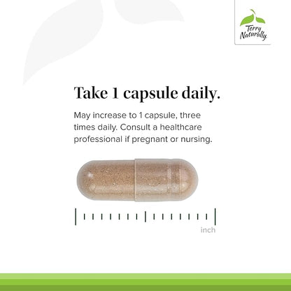 Terry Naturally Adaptra - Supplement to Support Adrenal Health - Ashwagandha Supplement with Rhodiola Rosea Extract - Herbal Supplement to Support Energy & Concentration - 60 Capsules (Pack of 2)