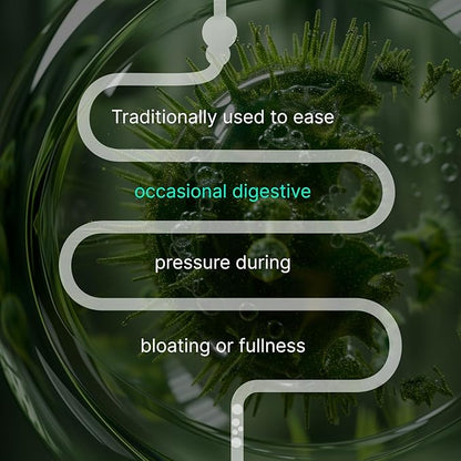 IBShield Tincture 100ml | 6+3=9 Herbs | Iberis Amara, Peppermint, Chamomile, Lemon Balm, Caraway, Licorice, Angelica, Celandine & Mary's Thistle | Original Herbal Formula Supports Digestive Wellness