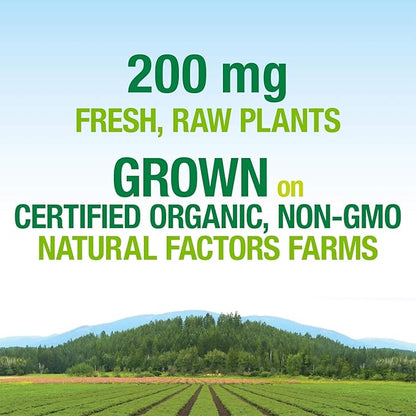 Whole Earth & Sea from Natural Factors, Women's Prenatal Multivitamin and Mineral, Whole Food Supplement, Vegan, 60 tablets, 60 Tablets