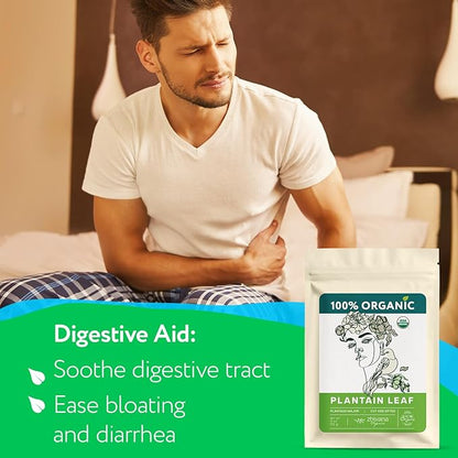 Super Value Pack 5 LB – Organic Plantain Leaf Tea (Plantago Major) – Natural Respiratory Support - Loose Leaf Tea for Soothing, Digestive & Immune Benefits