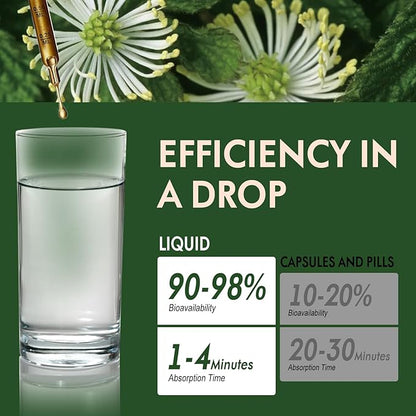 Goldenseal Root Extract Liquid Drop for Immune and Respiratory Lung Health Support, 6-in-1 Herbal Formula Supplement with Echinacea Goldenseal, Mullein Thyme. High& Fast Absorption. 2oz