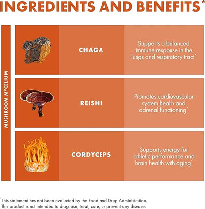 Host Defense Breathe* Capsules - Immune & Respiratory Support Mushroom Supplement - Herbal Lung Health Supplement with Chaga, Reishi & Cordyceps - 60 Capsules (30 Servings)*