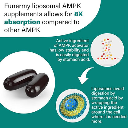 Liposomal AMPK Activator 2000 mg - High Bioavailability Berberine HCL,DIM,Milk Thistle,and Cinnamon Bark Capsule 6-in-1 AMPK Supplements for Antioxidant Support and Cellular Regulation, 600 Softgels