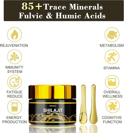Shilajit Pure Himalayan Organic Resin,shilajit for Men and Women,85+ Trace Minerals,Humic and Fulvic Acid,600mg Gold-Grade Himalayan Shilajit Resin (30g)