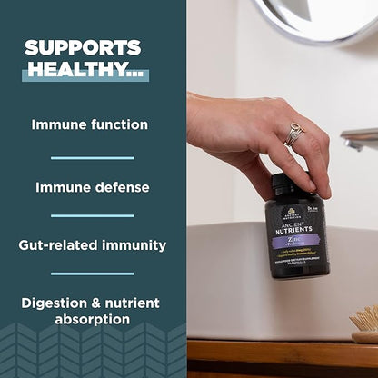 Ancient Nutrition Probiotics and Zinc Supplement, Supports Healthy Immune System and Gut Health, Made Without GMOs, Superfoods Supplement, Paleo and Keto Friendly, 30 Count