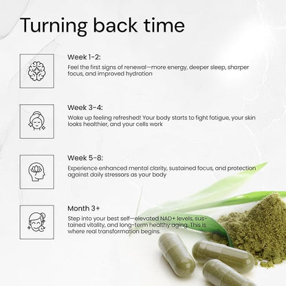 Timeless NAD+ Supplement – Nicotinamide Riboside, Quercetin, Resveratrol & Spermidine – Anti-Aging & Longevity Supplement for DNA Repair, Cellular Health - BioPerine® for Max Asorption (60 Capsules)