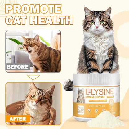 L-Lysine Supplement for Cats 1000 mg/Scoop L Lysine Oral Powder with L-Lysine Prebiotics Krill DMG for Kittens Sneezing Runny Nose Immune Respiratory System Eye Health 7 OZ Chicken Flavor