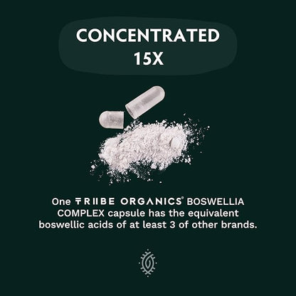 TRIBE ORGANICS Boswellia Serrata Complex Supplement for Joint Support, Muscle Relief - Vegetarian Non-GMO 120 Capsules, High Potency - Boswellin Super with Ginger Extract & Black Pepper - 420mg