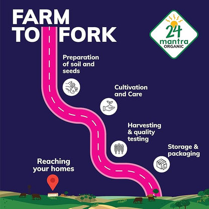 24 Mantra Organic Flax Seeds USDA Certified Organic EU Certified Organic Pesticides Free Adulteration Free Sodium Free - Pack of 1 | 7 Ounce