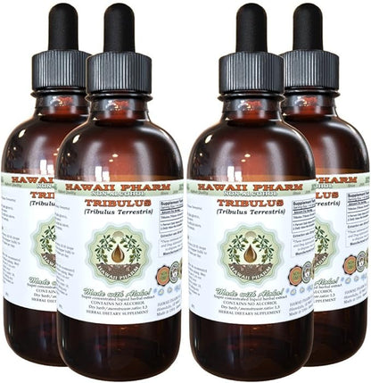 Hawaii Pharm Tribulus Alcohol-Free Liquid Extract, Tribulus (Tribulus Terrestris) Dried Fruit Glycerite Natural Herbal Supplement, USA 4x4 fl.oz