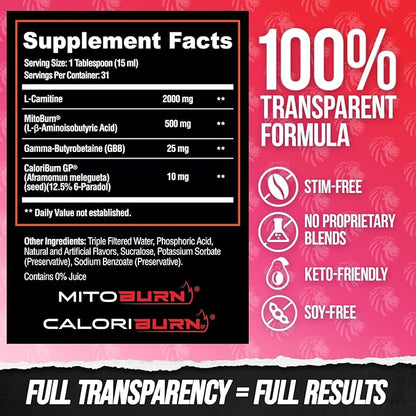 ALPHA LION Burn 20 L-Carnitine Liquid 2000mg, Premium Liquid Fat Burner & Pre-Workout Supplement for Men & Women - Natural Energy & Metabolism Booster for Weight Loss - ShredBerry