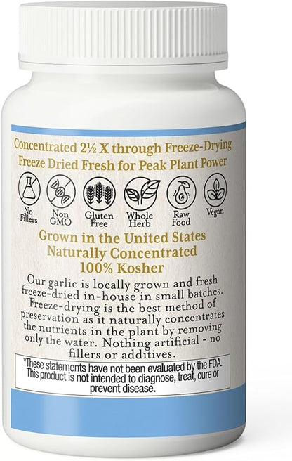 Eclectic Institute Raw Freeze-Dried Non-GMO Garlic | Antioxidants for Health, Helps Maintain Healthy Circulation | 90 CT