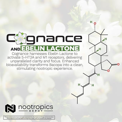 Nootropics Depot Cognance Enhanced Bacopa Capsules | 100mg | 10% Ebelin Lactone | Bacopa monnieri | Mood, Memory, & 5-HT2A Activation, 60 Count (Pack of 1)